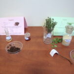 Chem-Noc w Instytucie Chemii Uniwersytetu Jana Kochanowskiego / Marzena Mąkosa / Radio Kielce