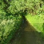 Emilia Sitarska / Radio Kielce