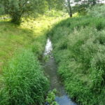 Emilia Sitarska / Radio Kielce