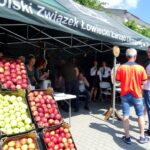 Opatów. Jarmark Opatowski / Emilia Sitarska / Radio Kielce