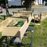 Opatów. Jarmark Opatowski / Emilia Sitarska / Radio Kielce