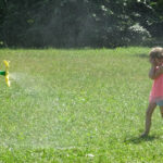 Ostrowiec Świętokrzyski. Śniadanie w parku / Emilia Sitarska / Radio Kielce