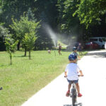 Ostrowiec Świętokrzyski. Śniadanie w parku / Emilia Sitarska / Radio Kielce