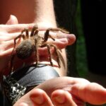 Ostrowiec Świętokrzyski. Dzień Dziecka w Parku Miejskim / Emilia Sitarska / Radio Kielce