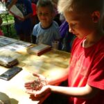 Ostrowiec Świętokrzyski. Dzień Dziecka w Parku Miejskim / Emilia Sitarska / Radio Kielce