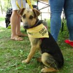 Ostrowiec Świętokrzyski. Dzień Dziecka w Parku Miejskim / Emilia Sitarska / Radio Kielce