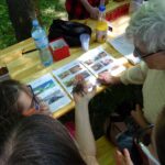 Ostrowiec Świętokrzyski. Dzień Dziecka w Parku Miejskim / Emilia Sitarska / Radio Kielce