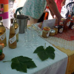 Kielce. Konkurs „Nasze Kulinarne dziedzictwo - Smaki Regionów”, koncert laureatów 43. Buskich Spotkań z Folklorem / Mateusz Kaczmarczyk / Radio Kielce