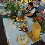 Kielce. Konkurs „Nasze Kulinarne dziedzictwo - Smaki Regionów”, koncert laureatów 43. Buskich Spotkań z Folklorem / Mateusz Kaczmarczyk / Radio Kielce