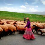 Iran / Mirosław Lubarski