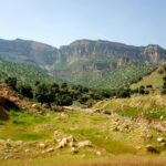 Iran / Mirosław Lubarski