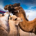 Iran / Mirosław Lubarski