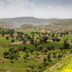 Iran / Mirosław Lubarski