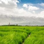 Iran / Mirosław Lubarski