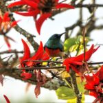 RPA / Dominika Zaręba