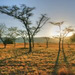 RPA / Dominika Zaręba