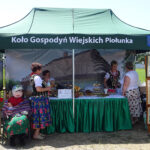 Sędziszów. XII Festiwal Ludowy im. Stefana Ostrowskiego i Jana Jawora / Ewa Pociejowska-Gawęda / Radio Kielce