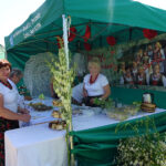 Sędziszów. XII Festiwal Ludowy im. Stefana Ostrowskiego i Jana Jawora / Ewa Pociejowska-Gawęda / Radio Kielce