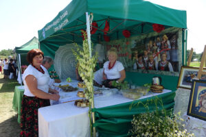 Sędziszów. XII Festiwal Ludowy im. Stefana Ostrowskiego i Jana Jawora / Ewa Pociejowska-Gawęda / Radio Kielce