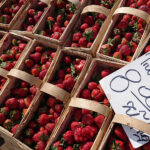 Kielce. Ceny owoców i warzyw na Miejskim Placu Targowym / Mateusz Kaczmarczyk / Radio Kielce