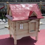 Ule na dachu kieleckiego Best Western Grand Hotel / Krzysztof Bujnowicz / Radio Kielce