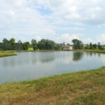 Zalew w Zochcinku koło Opatowa / Emilia Sitarska / Radio Kielce