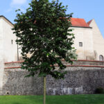 Vysocina. Telč / Stanisław Blinstrub / Radio Kielce