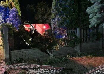 Tragiczny wypadek w miejscowości Andruszkowice. 18-latek wyjechał w ogrodzenie / KWP Kielce