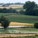 Ulewne deszcze spowodowały straty w miejscowościach powiatu kazimierskiego / Łukasz Maderak