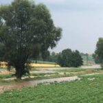 Ulewne deszcze spowodowały straty w miejscowościach powiatu kazimierskiego / Łukasz Maderak