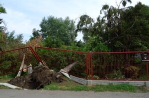 Bodzechów. Ulica Zamłyńska po burzy 1 lipca / Emilia Sitarska / Radio Kielce