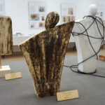 Ciekoty. Wystawa ceramiki Moniki Iwan w Centrum Edukacji i Kultury „Szklany Dom” (20.07.2019) / Monika Miller / Radio Kielce