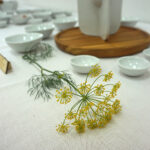 Ciekoty. Wystawa ceramiki Moniki Iwan w Centrum Edukacji i Kultury „Szklany Dom” (20.07.2019) / Monika Miller / Radio Kielce