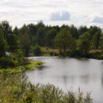 Dolina Nidy w okolicach Umianowic / Zespół Świętokrzyskich i Nadnidziańskich Parków Krajobrazowych / Dolina Nidy w okolicach Umianowic