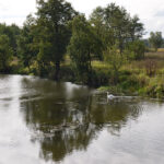 Dolina Nidy w okolicach Umianowic / Zespół Świętokrzyskich i Nadnidziańskich Parków Krajobrazowych / Dolina Nidy w okolicach Umianowic