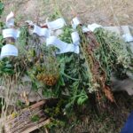 XX Kuźnice Koneckie / Anna Głąb / Radio Kielce