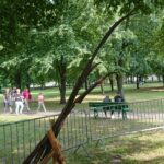 XX Kuźnice Koneckie / Anna Głąb / Radio Kielce