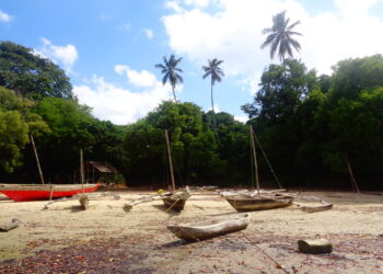 Muzyczne podróże. Zanzibar / Katarzyna Barwicka