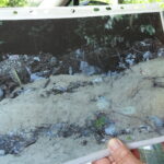 Nielegalne wysypiska śmieci w gminie Oksa / Ewa Pociejowska-Gawęda / Radio Kielce