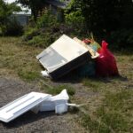 Sprzątanie terenów kolejki wąskotorowej. / Ewa Pociejowska-Gawęda / Radio Kielce