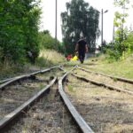 Sprzątanie terenów kolejki wąskotorowej. / Ewa Pociejowska-Gawęda / Radio Kielce