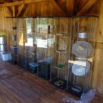 Sędek. Skansen pszczelarski / UMiG Łagów