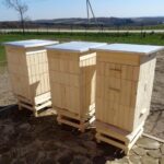 Sędek. Skansen pszczelarski / UMiG Łagów