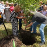 Leszek Gadawski – prezes Towarzystwa Przyjaciół Buska, Alicja Bednarska – wiceprzewodnicząca, Alicja Majewska / Dorota Klusek / Radio Kielce