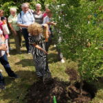 Alicja Majewska posadziła drzewo w parku zdrojowym / Dorota Klusek / Radio Kielce