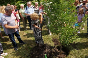 Alicja Majewska posadziła drzewo w parku zdrojowym / Dorota Klusek / Radio Kielce