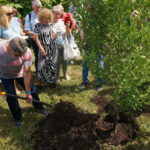Alicja Majewska posadziła drzewo w parku zdrojowym / Dorota Klusek / Radio Kielce