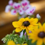 Kielce. Stacja: Wakacje (24.06.2019) / Piotr Kwaśniewski / Radio Kielce