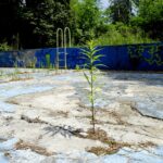 Basen "Tęcza" / Piotr Kwaśniewski / Radio Kielce