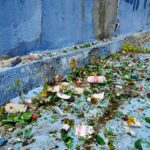 Basen "Tęcza" / Piotr Kwaśniewski / Radio Kielce